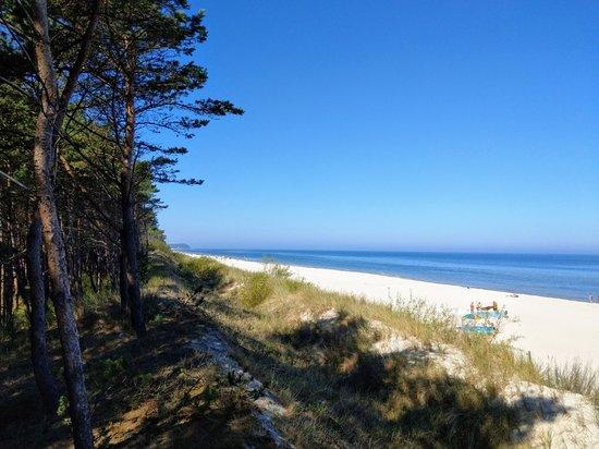 Wędrówki po plaży